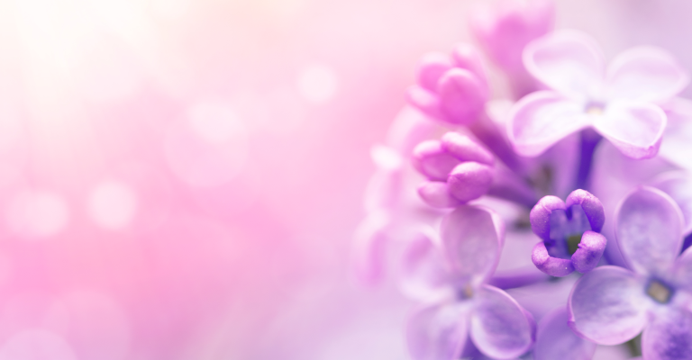 backgrounds-condoleance-1