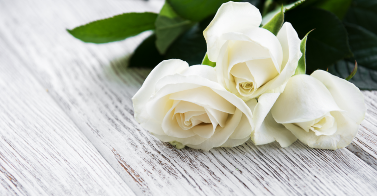 backgrounds-condoleance-3