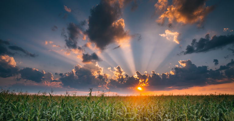 backgrounds-condoleance-7