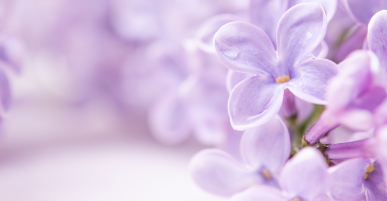 backgrounds-condoleance-8