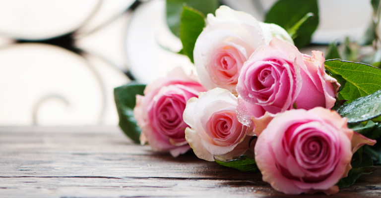 rozen-roze-bju